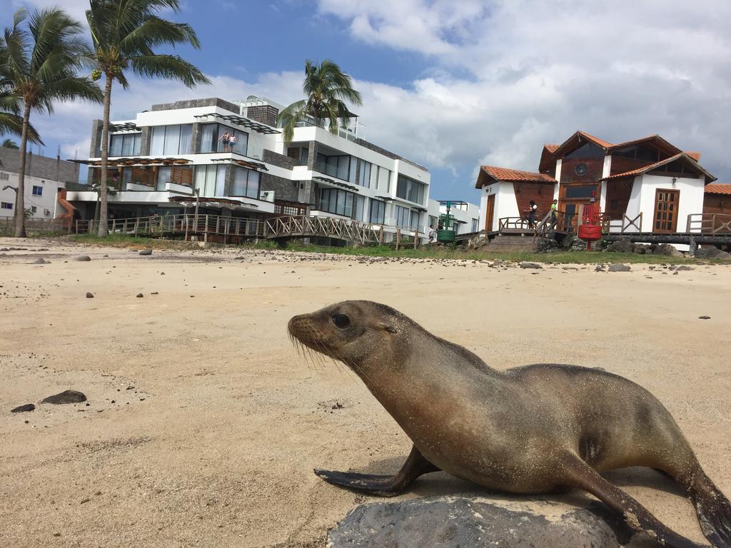 ホテル Golden Bay Galapagos プエルト・バケリソ・モレノ エクステリア 写真